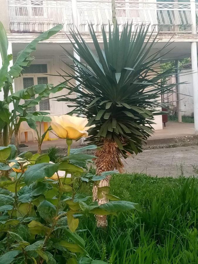 Guest House Knarik Jvari Exterior foto
